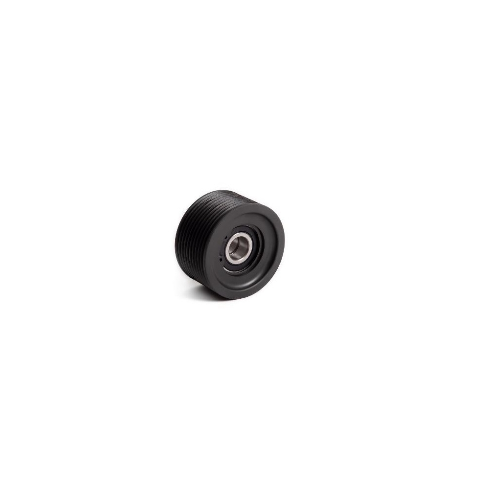 Volvo IDLER PULLEY 20851842, 8086970