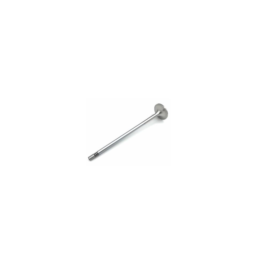 Volvo EXHAUST VALVE 20513285