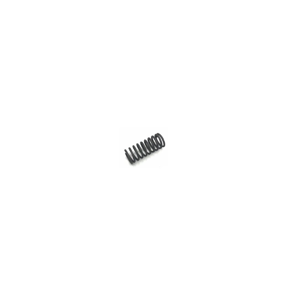 Volvo VALVE SPRING 468066