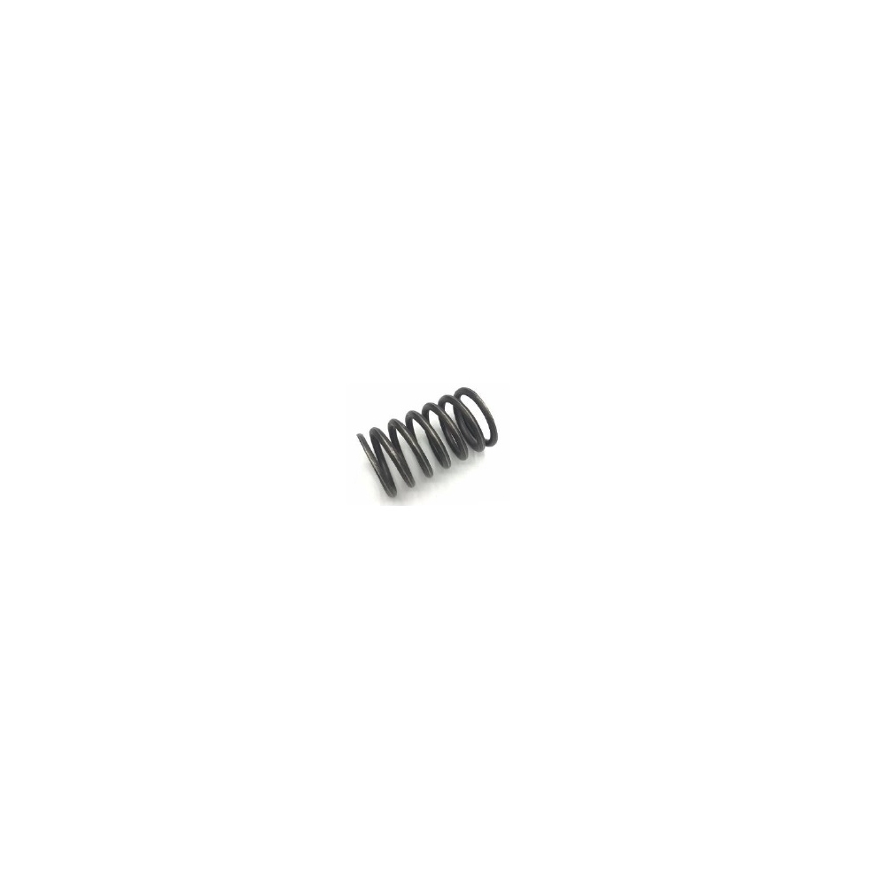Volvo VALVE SPRING 468067