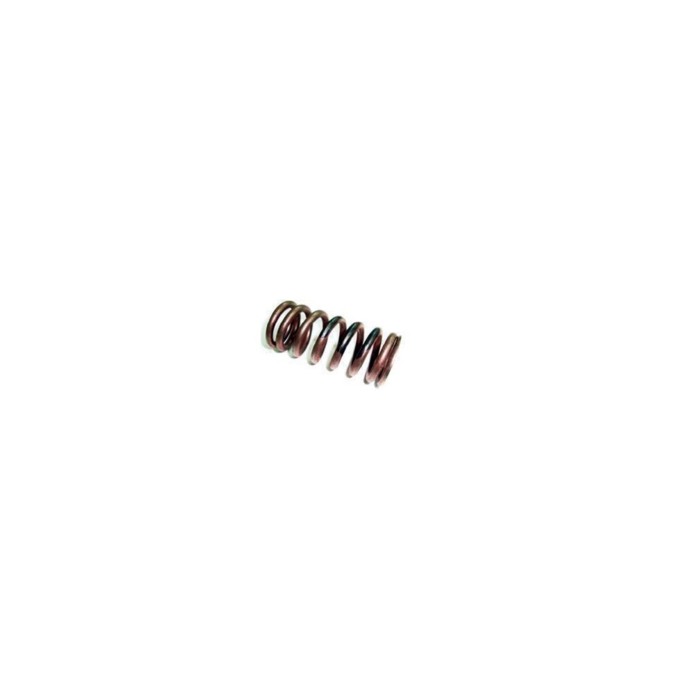 Volvo VALVE SPRING 3183210, 1547209, 21310068